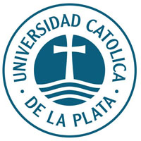 Organización 33