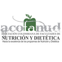 Organización 7