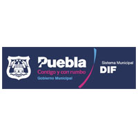 Organización 61