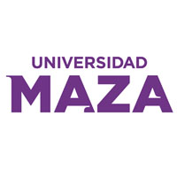 Organización 41